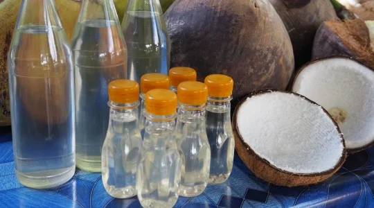 ココナッツオイル作り体験